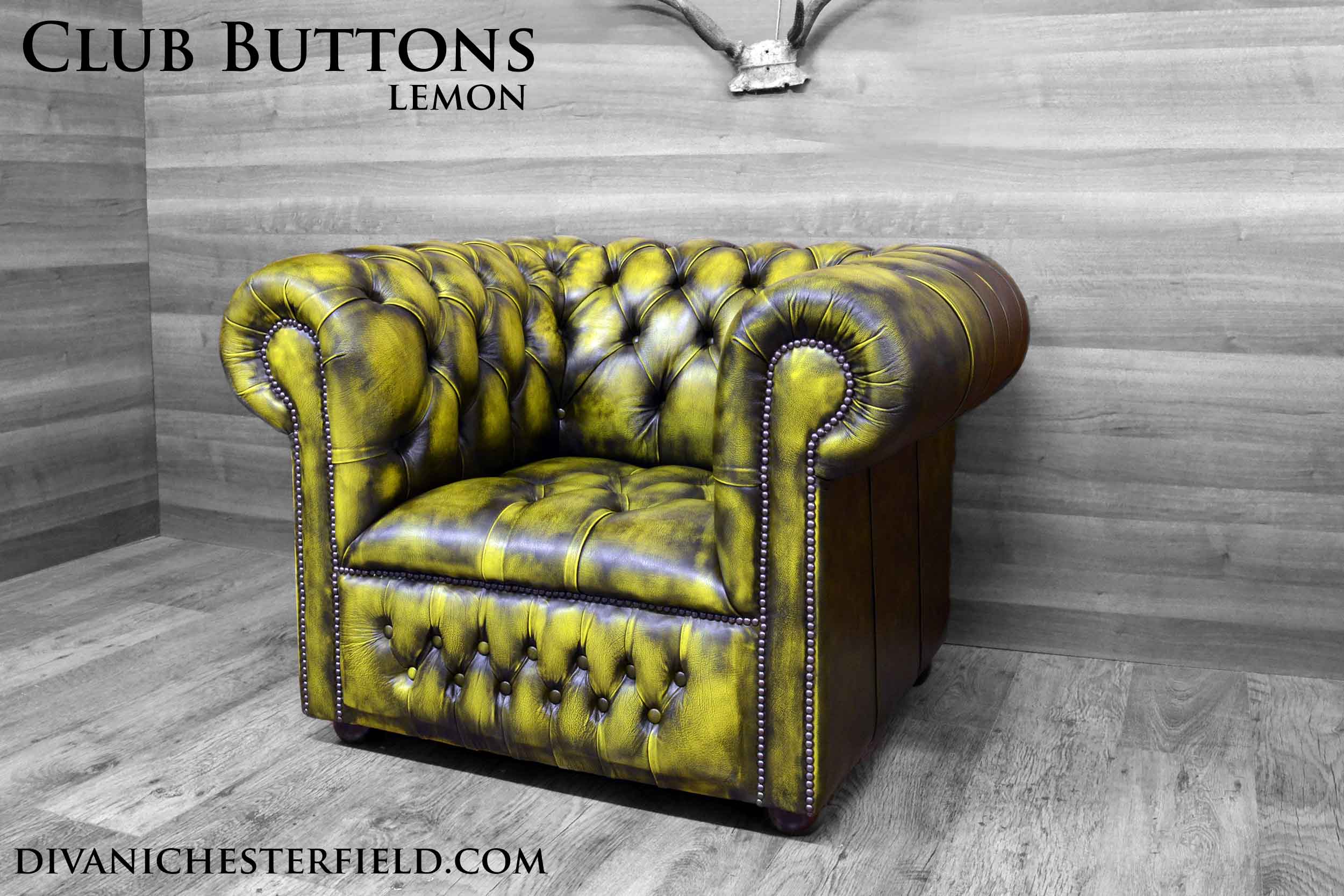 poltrona chester club nuove pelle vintage Lemon